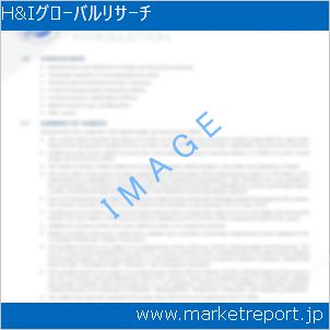市場と産業調査レポートのイメージ